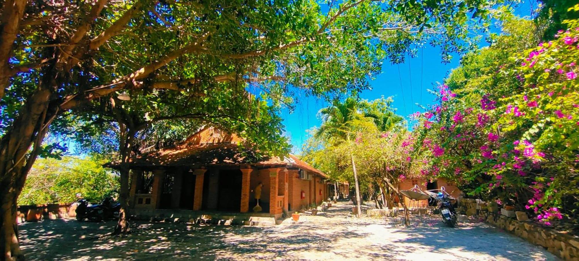 Wild Beach Boutique Resort Ninh Phuoc エクステリア 写真