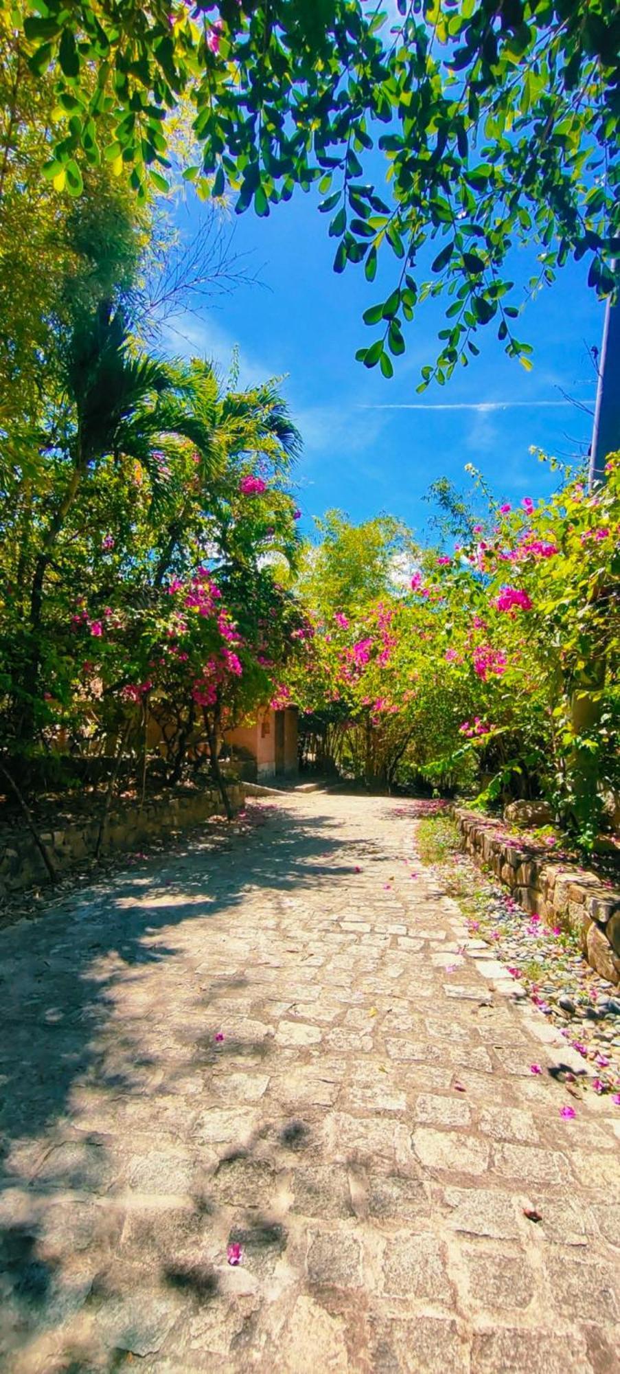 Wild Beach Boutique Resort Ninh Phuoc エクステリア 写真